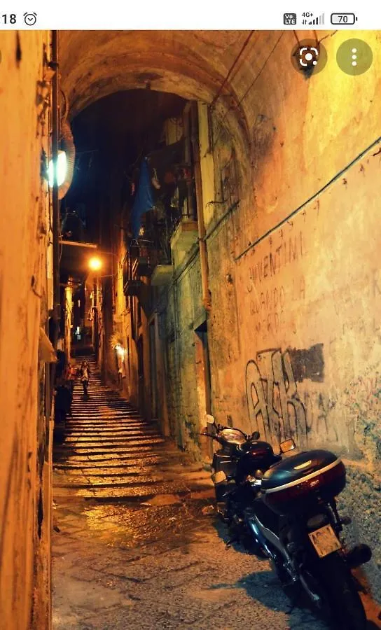 Napoli&Love Apartment Bovio Centro Storico 0*, Naples Italy